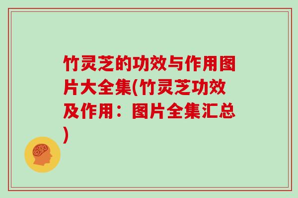 竹灵芝的功效与作用图片大全集(竹灵芝功效及作用:图片全集汇总) 竹灵芝的功效与作用图片大全集(竹灵芝功效及作用:图片全集汇总)
