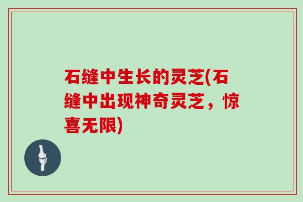 石缝中生长的灵芝(石缝中出现神奇灵芝，惊喜无限)