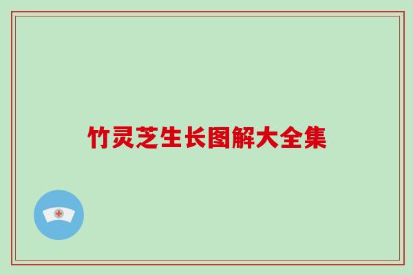 竹灵芝生长图解大全集