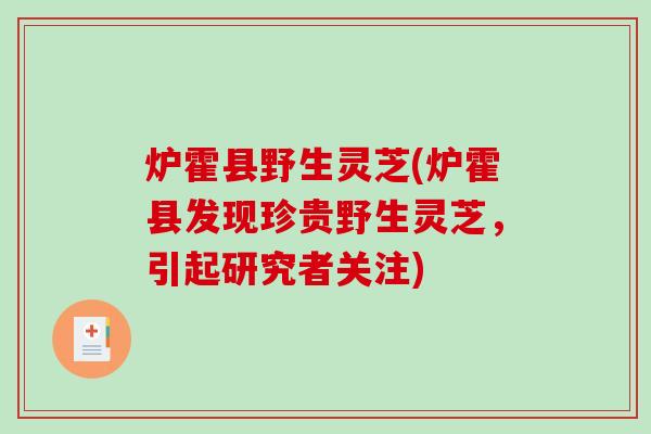 炉霍县野生灵芝(炉霍县发现珍贵野生灵芝,引起研究者关注) 炉霍县野生灵芝(炉霍县发现珍贵野生灵芝,引起研究者关注)