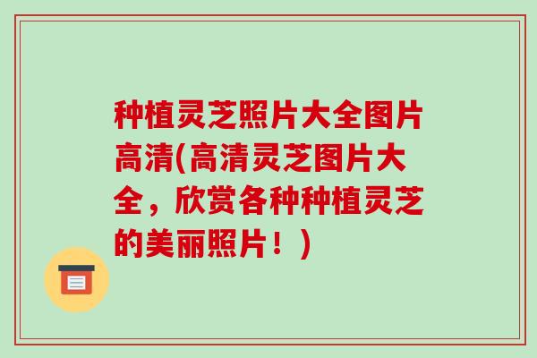 种植灵芝照片大全图片高清(高清灵芝图片大全,欣赏各种种植灵芝的美丽照片!) 种植灵芝照片大全图片高清(高清灵芝图片大全,欣赏各种种植灵芝的美丽照片!)