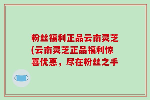 粉丝福利正品云南灵芝(云南灵芝正品福利惊喜优惠，尽在粉丝之手