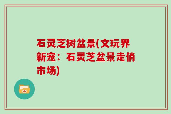 石灵芝树盆景(文玩界新宠：石灵芝盆景走俏市场)