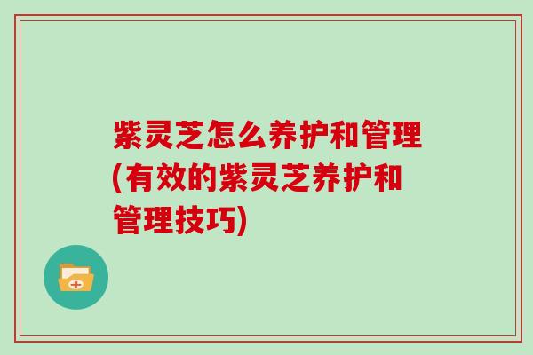 紫灵芝怎么养护和管理(有效的紫灵芝养护和管理技巧)