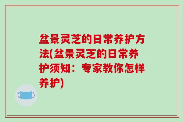 盆景灵芝的日常养护方法(盆景灵芝的日常养护须知:专家教你怎样养护) 盆景灵芝的日常养护方法(盆景灵芝的日常养护须知:专家教你怎样养护)