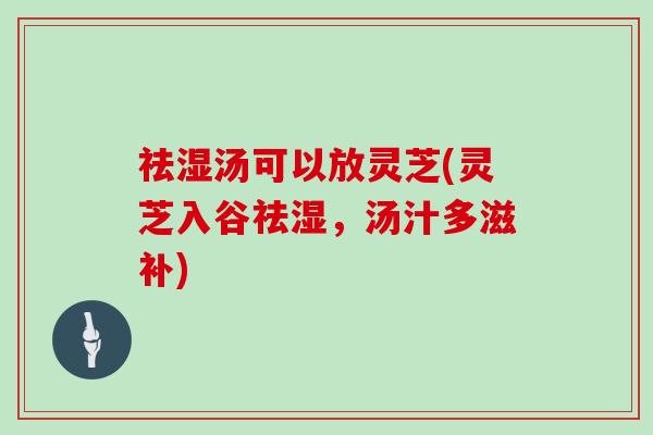 祛湿汤可以放灵芝(灵芝入谷祛湿，汤汁多滋补)