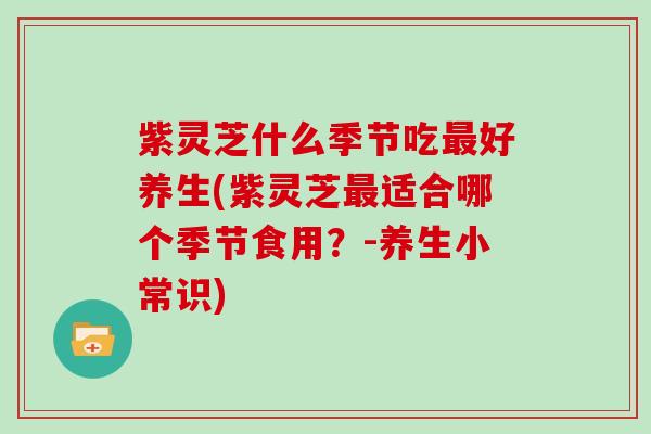 紫灵芝什么季节吃好养生(紫灵芝适合哪个季节食用?-养生小常识) 紫灵芝什么季节吃好养生(紫灵芝适合哪个季节食用?-养生小常识)