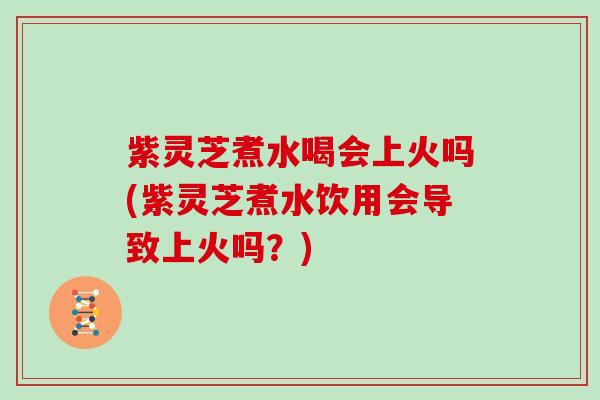 紫灵芝煮水喝会上火吗(紫灵芝煮水饮用会导致上火吗?) 紫灵芝煮水喝会上火吗(紫灵芝煮水饮用会导致上火吗?)
