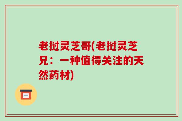 老挝灵芝哥(老挝灵芝兄:一种值得关注的天然药材) 老挝灵芝哥(老挝灵芝兄:一种值得关注的天然药材)
