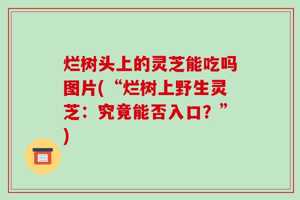 烂树头上的灵芝能吃吗图片(“烂树上野生灵芝:究竟能否入口?”) 烂树头上的灵芝能吃吗图片(“烂树上野生灵芝:究竟能否入口?”)