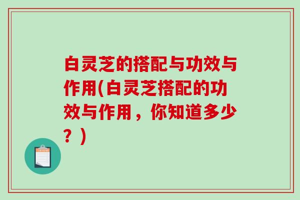 白灵芝的搭配与功效与作用(白灵芝搭配的功效与作用,你知道多少?) 白灵芝的搭配与功效与作用(白灵芝搭配的功效与作用,你知道多少?)