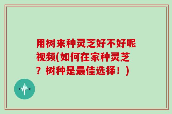 用树来种灵芝好不好呢视频(如何在家种灵芝?树种是佳选择!) 用树来种灵芝好不好呢视频(如何在家种灵芝?树种是佳选择!)