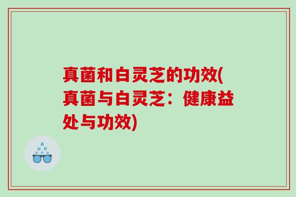 真菌和白灵芝的功效(真菌与白灵芝:健康益处与功效) 真菌和白灵芝的功效(真菌与白灵芝:健康益处与功效)