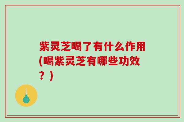紫灵芝喝了有什么作用(喝紫灵芝有哪些功效?) 紫灵芝喝了有什么作用(喝紫灵芝有哪些功效?)