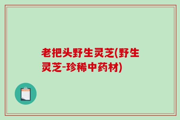 老把头野生灵芝(野生灵芝-珍稀材) 老把头野生灵芝(野生灵芝-珍稀材)