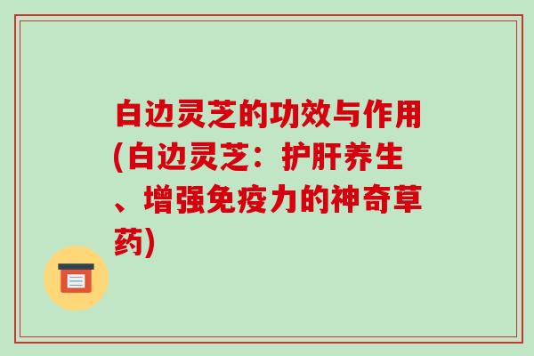 白边灵芝的功效与作用(白边灵芝:养生、增强免疫力的神奇草药) 白边灵芝的功效与作用(白边灵芝:养生、增强免疫力的神奇草药)