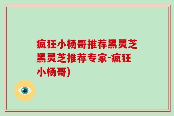 疯狂小杨哥推荐黑灵芝黑灵芝推荐专家-疯狂小杨哥)