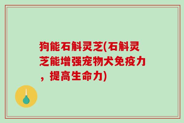 狗能石斛灵芝(石斛灵芝能增强宠物犬免疫力,提高生命力) 狗能石斛灵芝(石斛灵芝能增强宠物犬免疫力,提高生命力)