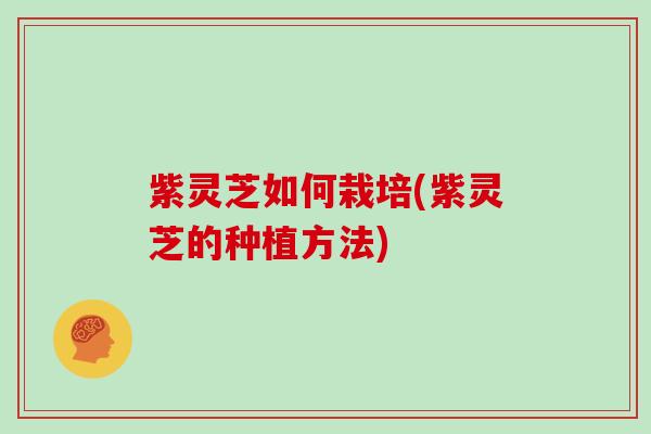 紫灵芝如何栽培(紫灵芝的种植方法) 紫灵芝如何栽培(紫灵芝的种植方法)