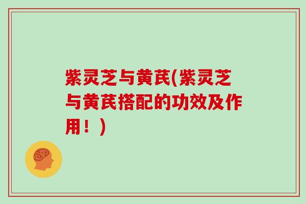 紫灵芝与黄芪(紫灵芝与黄芪搭配的功效及作用!) 紫灵芝与黄芪(紫灵芝与黄芪搭配的功效及作用!)