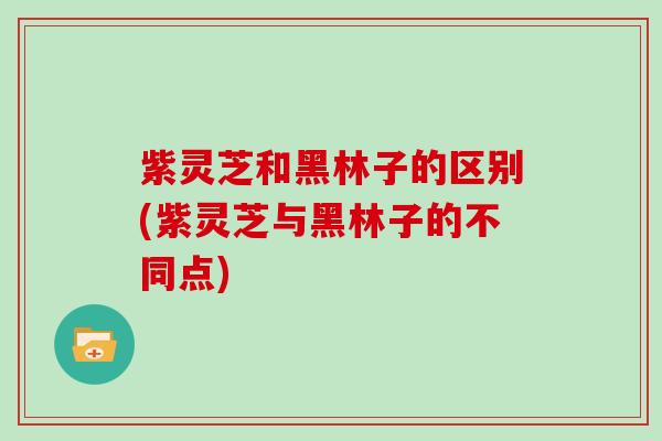 紫灵芝和黑林子的区别(紫灵芝与黑林子的不同点)