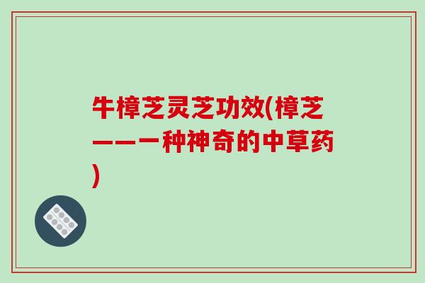 牛樟芝灵芝功效(樟芝——一种神奇的中草药) 牛樟芝灵芝功效(樟芝——一种神奇的中草药)
