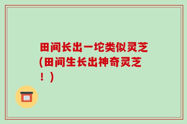 田间长出一坨类似灵芝(田间生长出神奇灵芝!) 田间长出一坨类似灵芝(田间生长出神奇灵芝!)