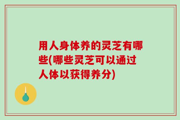 用人身体养的灵芝有哪些(哪些灵芝可以通过人体以获得养分) 用人身体养的灵芝有哪些(哪些灵芝可以通过人体以获得养分)
