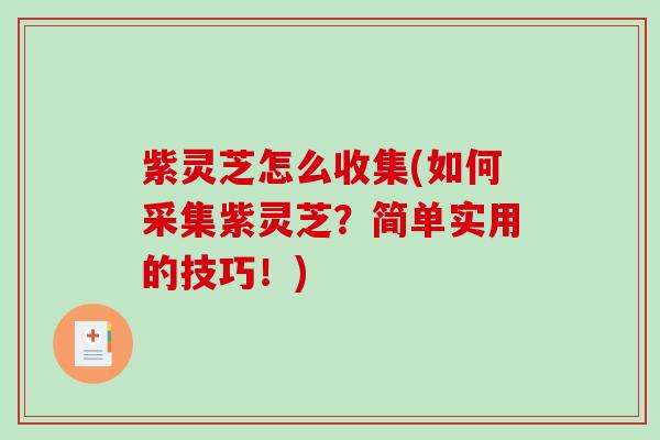 紫灵芝怎么收集(如何采集紫灵芝?简单实用的技巧!) 紫灵芝怎么收集(如何采集紫灵芝?简单实用的技巧!)