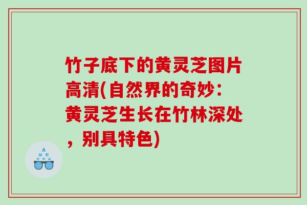 竹子底下的黄灵芝图片高清(自然界的奇妙：黄灵芝生长在竹林深处，别具特色)