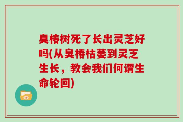 臭椿树死了长出灵芝好吗(从臭椿枯萎到灵芝生长,教会我们何谓生命轮回) 臭椿树死了长出灵芝好吗(从臭椿枯萎到灵芝生长,教会我们何谓生命轮回)