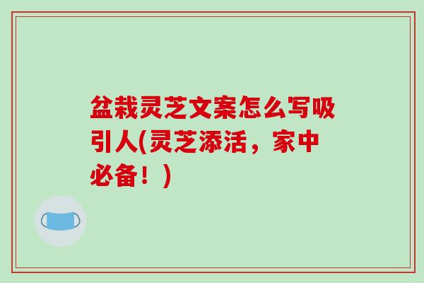 盆栽灵芝文案怎么写吸引人(灵芝添活,家中必备!) 盆栽灵芝文案怎么写吸引人(灵芝添活,家中必备!)
