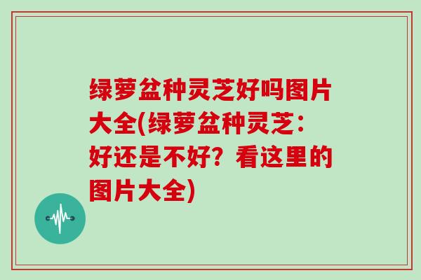 绿萝盆种灵芝好吗图片大全(绿萝盆种灵芝：好还是不好？看这里的图片大全)