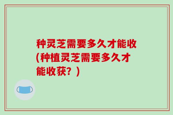 种灵芝需要多久才能收(种植灵芝需要多久才能收获?) 种灵芝需要多久才能收(种植灵芝需要多久才能收获?)