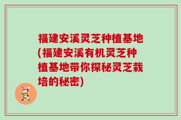 福建安溪灵芝种植基地(福建安溪有机灵芝种植基地带你探秘灵芝栽培的秘密) 福建安溪灵芝种植基地(福建安溪有机灵芝种植基地带你探秘灵芝栽培的秘密)