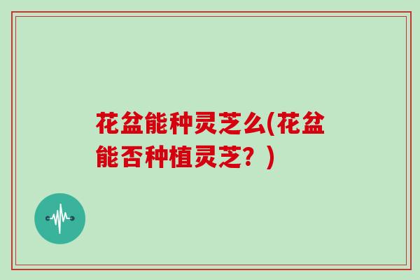花盆能种灵芝么(花盆能否种植灵芝?) 花盆能种灵芝么(花盆能否种植灵芝?)