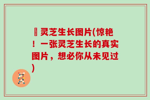 艼灵芝生长图片(惊艳!一张灵芝生长的真实图片,想必你从未见过) 艼灵芝生长图片(惊艳!一张灵芝生长的真实图片,想必你从未见过)