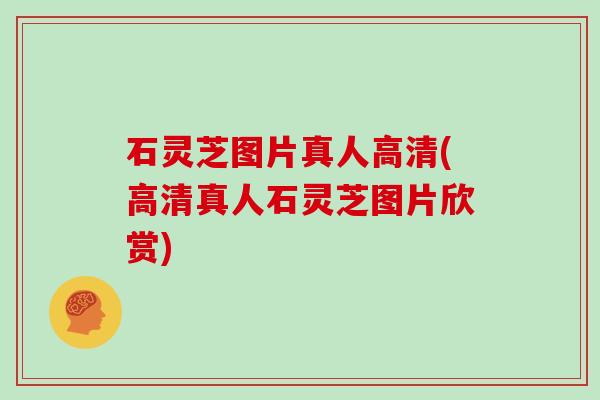 石灵芝图片真人高清(高清真人石灵芝图片欣赏)