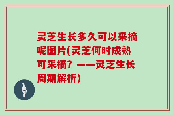 灵芝生长多久可以采摘呢图片(灵芝何时成熟可采摘？——灵芝生长周期解析)
