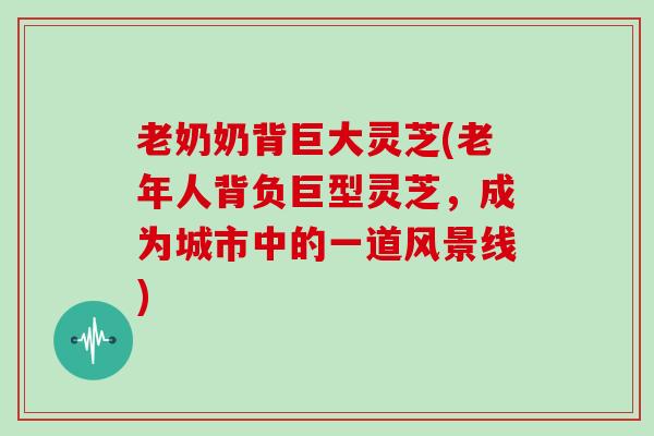 老奶奶背巨大灵芝(老年人背负巨型灵芝,成为城市中的一道风景线) 老奶奶背巨大灵芝(老年人背负巨型灵芝,成为城市中的一道风景线)