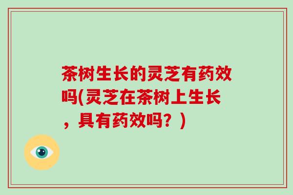 茶树生长的灵芝有吗(灵芝在茶树上生长,具有吗?) 茶树生长的灵芝有吗(灵芝在茶树上生长,具有吗?)