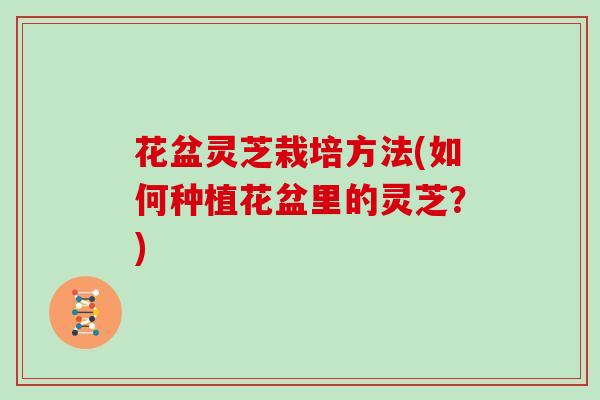 花盆灵芝栽培方法(如何种植花盆里的灵芝?) 花盆灵芝栽培方法(如何种植花盆里的灵芝?)