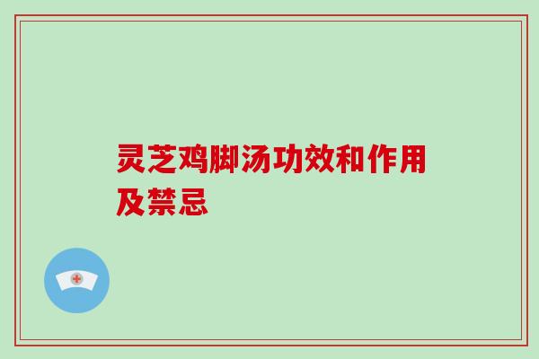 灵芝鸡脚汤功效和作用及禁忌
