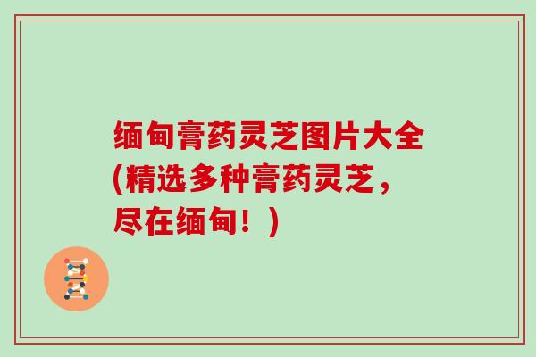 缅甸膏药灵芝图片大全(精选多种膏药灵芝,尽在缅甸!) 缅甸膏药灵芝图片大全(精选多种膏药灵芝,尽在缅甸!)