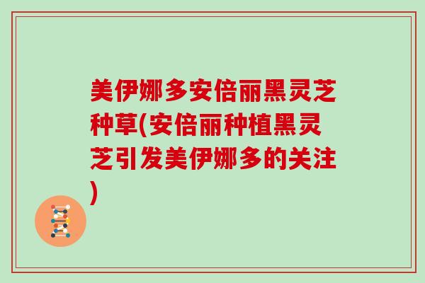 美伊娜多安倍丽黑灵芝种草(安倍丽种植黑灵芝引发美伊娜多的关注)