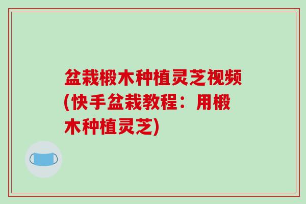 盆栽椴木种植灵芝视频(快手盆栽教程:用椴木种植灵芝) 盆栽椴木种植灵芝视频(快手盆栽教程:用椴木种植灵芝)