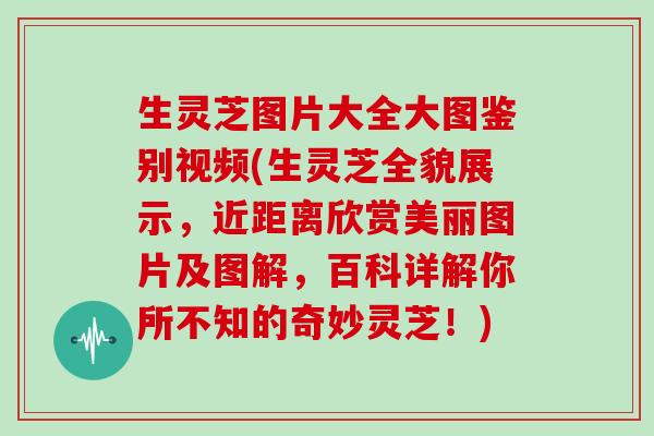 生灵芝图片大全大图鉴别视频(生灵芝全貌展示，近距离欣赏美丽图片及图解，百科详解你所不知的奇妙灵芝！)