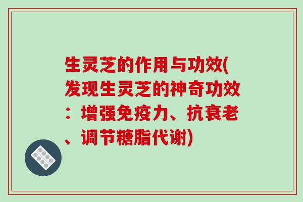 生灵芝的作用与功效(发现生灵芝的神奇功效:增强免疫力、抗、调节糖脂代谢) 生灵芝的作用与功效(发现生灵芝的神奇功效:增强免疫力、抗、调节糖脂代谢)