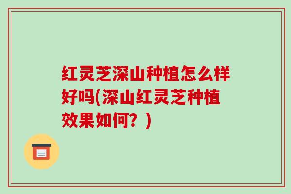 红灵芝深山种植怎么样好吗(深山红灵芝种植效果如何?) 红灵芝深山种植怎么样好吗(深山红灵芝种植效果如何?)