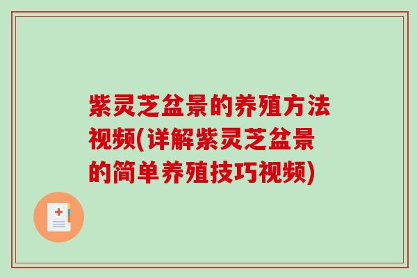 紫灵芝盆景的养殖方法视频(详解紫灵芝盆景的简单养殖技巧视频) 紫灵芝盆景的养殖方法视频(详解紫灵芝盆景的简单养殖技巧视频)